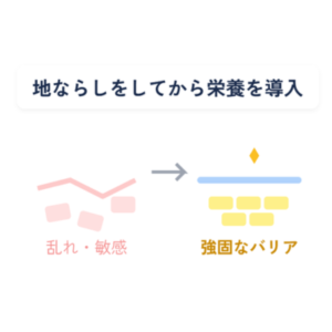 再生｜トロイアルケ②
