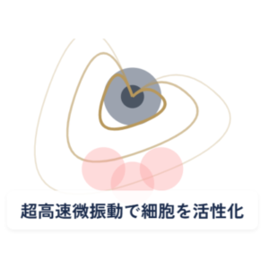 筋肉｜テラボーラー②